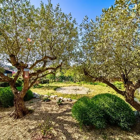 Serenity Sustainable Luxury Retreat By Guestlee